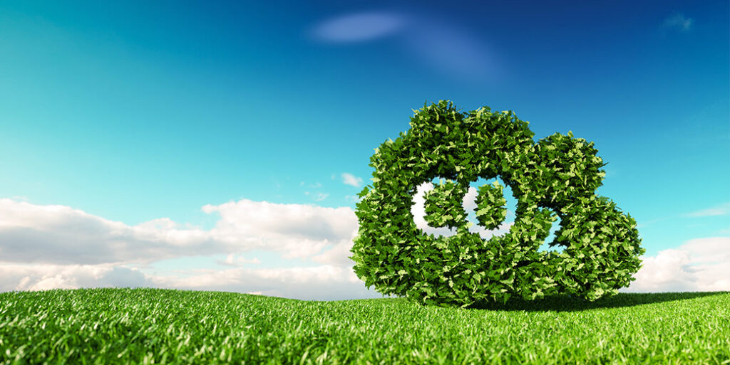 Tarannà-apuesta-por-ser-una-empresa-neutra-en-emisiones-para-el-2030