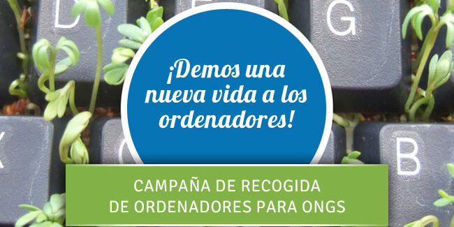 ordenadores